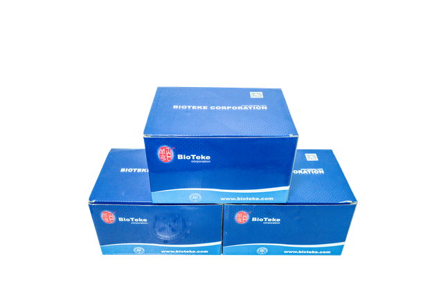 RNase喷雾清除剂