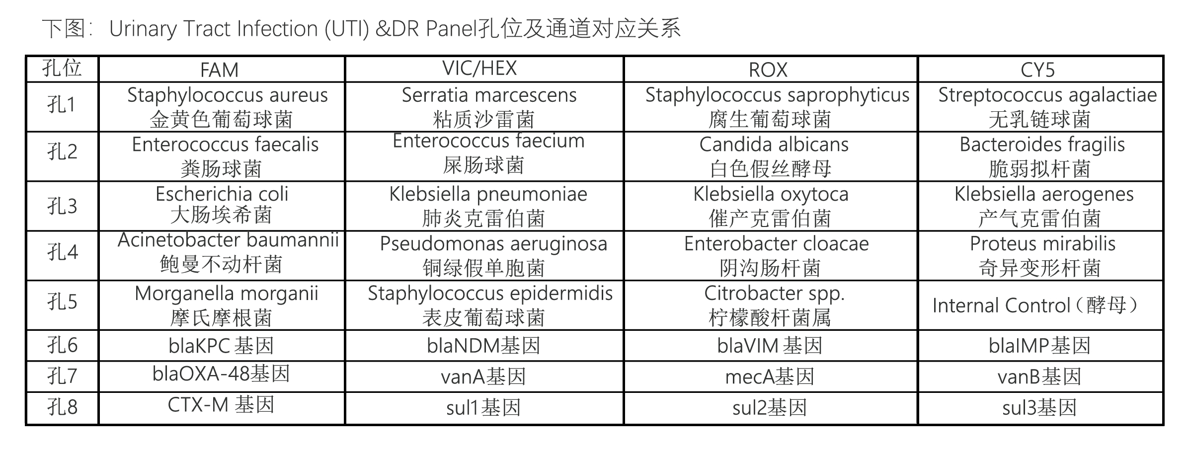 尿路感染（制作文件）-01